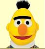 Bert